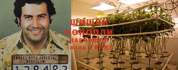 не бодяженный Каменка